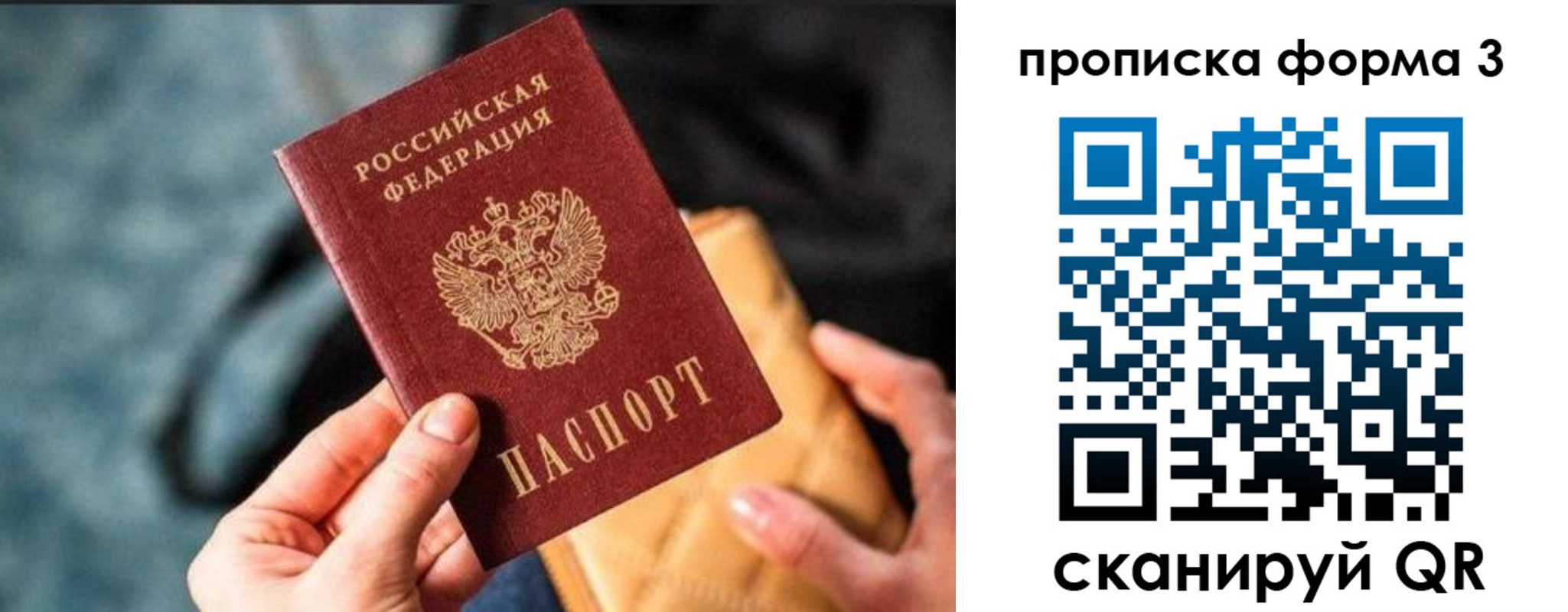 прописка гарантия в Фокино
